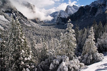 el capitán - USA,California,Yosemite National Park. Fresh snow fall on El Capitan in Yosemite Valley. Stock Photo - Rights-Managed, Code: 862-03437439