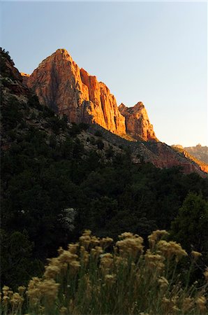 simsearch:862-03711388,k - USA,Utah,Zion National Park. Sunset on The Watchman 6545 ft Foto de stock - Con derechos protegidos, Código: 862-03437638