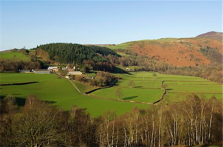 Wales,Denbighshire,Llangollen. Lush lowground pasture beside the River Dee leads back towards Llantysilio Mountain. Foto de stock - Con derechos protegidos, Código: 862-03437759