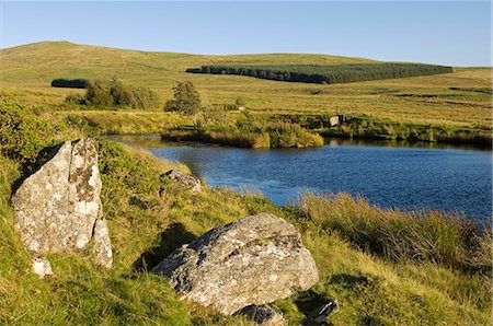 simsearch:862-03437778,k - Pays de Galles, Conwy, Pentre Foilas. Gilar ferme et la montagne pris dans la soirée, des étangs de canard, avec des blocs de forêts et pâturages rugueux. Photographie de stock - Rights-Managed, Code: 862-03437778