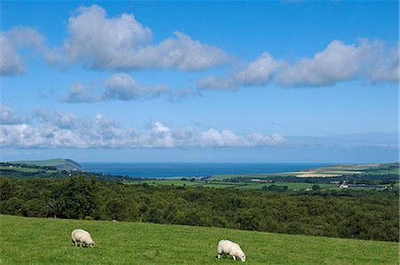 simsearch:862-03361562,k - Au Royaume-Uni, pays de Galles, Pembrokeshire. Vue sur le paysage de Pembrokeshire nord vers la baie de Newport. Photographie de stock - Rights-Managed, Code: 862-03437807