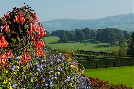 simsearch:862-03437753,k - Pays de Galles. Powys ; Powis Castle. Vue vers le bas depuis la terrasse de la volière pour les jardins à la française ci-dessous. Photographie de stock - Rights-Managed, Code: 862-03437847