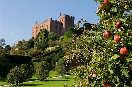 Wales; Powys; Powis Castle. View past teh apple trees of the Formal Garden up to Powis Castle. Stock Photo - Rights-Managed, Code: 862-03437842