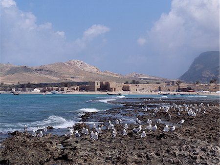 simsearch:862-03437916,k - The waterfront at Qalansiah,an important fishing village in the northwest of Socotra Island. The gulls are migrants from Siberia. Foto de stock - Con derechos protegidos, Código: 862-03437928