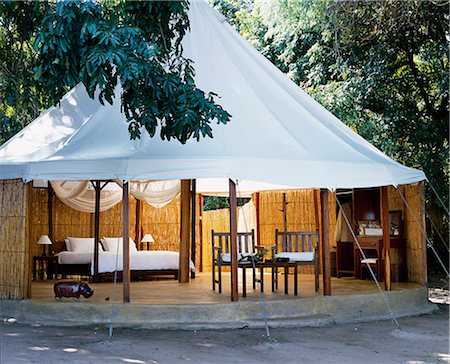 Camp de Zambie, Lower Zambezi National Park, arbre à saucisses. L'hébergement est dans des tentes de pavillon blanc, croustillantes, style propre et minimaliste, avec des meubles en teck et des tissus blancs. Photographie de stock - Rights-Managed, Code: 862-03437947