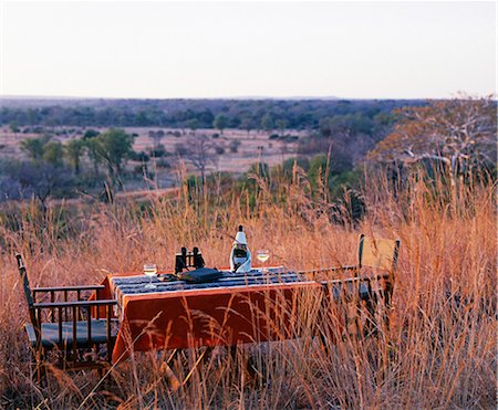 scenic dinner - Zambia,South Luangwa National Park,Bushcamps Company. Sundowners in the bush. Stock Photo - Rights-Managed, Code: 862-03437995