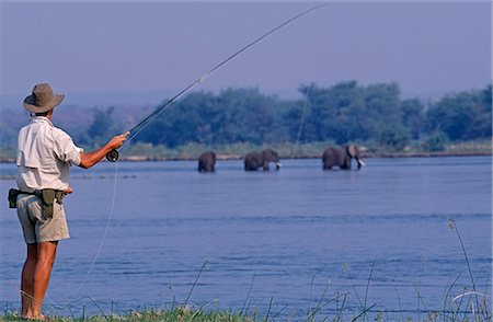simsearch:862-03437947,k - Zambie, Lower Zambezi National park. Pêche à la mouche pour poisson tigre sur le fleuve Zambèze sur fond d'éléphants sur l'île voisine. Photographie de stock - Rights-Managed, Code: 862-03438037