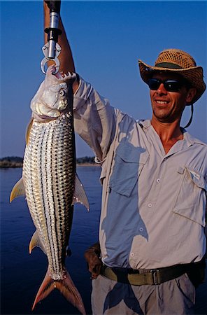 fishermen in africa - Zambia,Lower Zambezi National Park. A fine tiger fish caught on the Zambezi River. Stock Photo - Rights-Managed, Code: 862-03438044