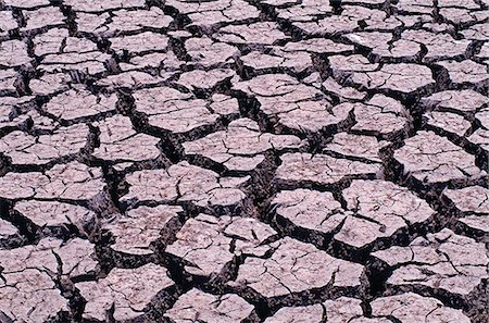 fango arido - Cracked earth of a dried-up pool at end of dry season in October. Fotografie stock - Rights-Managed, Codice: 862-03438091