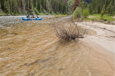 simsearch:862-03732417,k - Fourche du milieu de la rivière Salmon, Frank Church Wilderness, état de l'Idaho, États-Unis d'Amérique. Photographie de stock - Rights-Managed, Code: 862-03714123