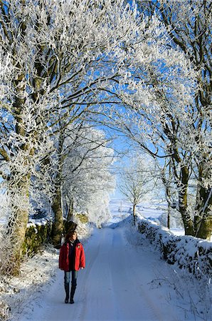 simsearch:400-06132960,k - Wales, Snowdonia. Walking down a snowy farm track with hoar frost on the trees. Foto de stock - Con derechos protegidos, Código: 862-03714226