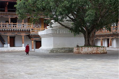 punakha dzong - Moines à la Punakha Dzong au Bhoutan. Photographie de stock - Rights-Managed, Code: 862-03710412