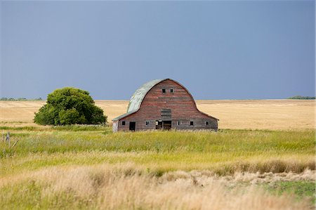 Canada. An old barn on the Canadian Prairie Stock Photo - Rights-Managed, Code: 862-03710627