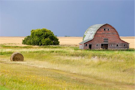 farm silo barn - Canada. An old barn on the Canadian Prairie Stock Photo - Rights-Managed, Code: 862-03710629