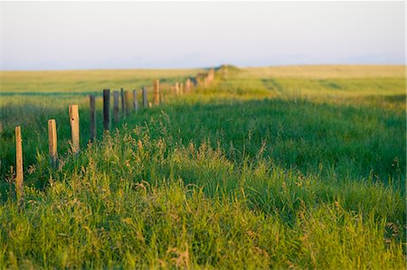 prado - Saskatchewan, Canada. A fence on the Canadian Prairie Foto de stock - Con derechos protegidos, Código: 862-03710622