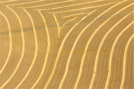 Canada. Patterns in the rows of crop on the prairie shot from an airplane Foto de stock - Con derechos protegidos, Código: 862-03710632