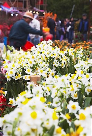 Daffodils for sale at flower market for Chinese New Year, Mongkok, Kowloon, Hong Kong, China Stock Photo - Rights-Managed, Code: 862-03710744