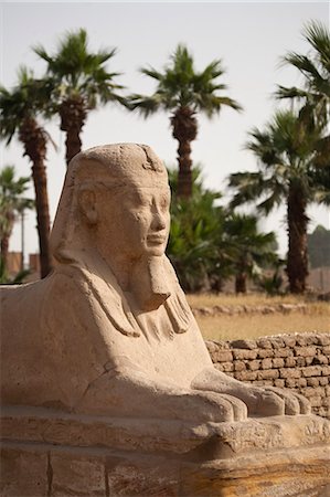 simsearch:862-03711132,k - Egypte, Luxor. Un sphinx antique, partie d'une allée de sphinx menant au Temple de Louxor. Photographie de stock - Rights-Managed, Code: 862-03710920