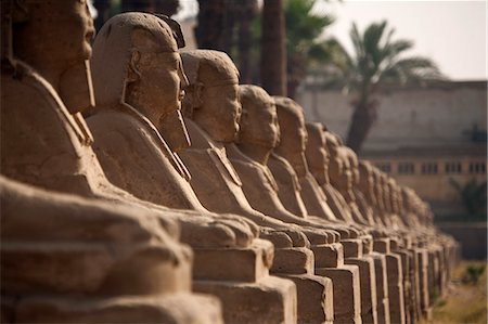 Egypt, Luxor. Ancient sphinxes form an avenue leading to Luxor Temple. Foto de stock - Con derechos protegidos, Código: 862-03710921