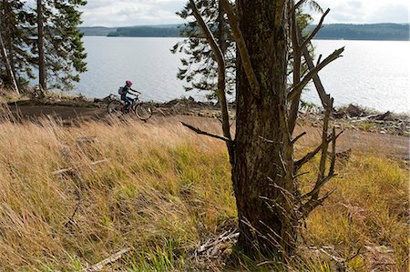 simsearch:862-03710998,k - Family cycling along the Lakeside Way, Kielder Water & Forest Park, Northumberland, England. Stock Photo - Rights-Managed, Code: 862-03710999