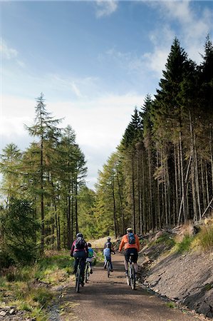 Family cycling along the Lakeside Way, Kielder Water & Forest Park, Northumberland, England. Stock Photo - Rights-Managed, Code: 862-03711006