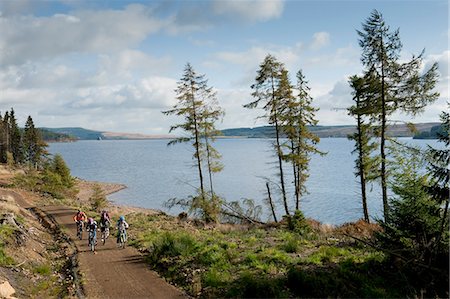 Family cycling along the Lakeside Way, Kielder Water & Forest Park, Northumberland, England. Stock Photo - Rights-Managed, Code: 862-03711002