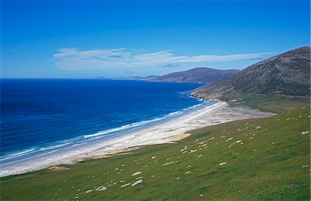 saunders island - Main sand beach at 'The Neck' Foto de stock - Con derechos protegidos, Código: 862-03711185