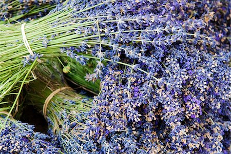 simsearch:862-08090159,k - Lavender bundles for sale in Roussillon, Sault, Provence, France Foto de stock - Con derechos protegidos, Código: 862-03711327