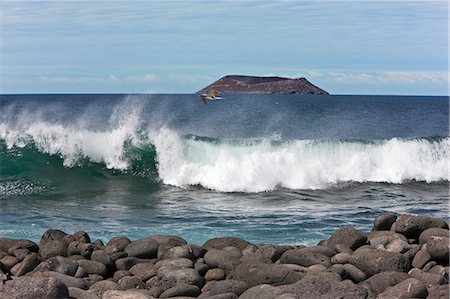 simsearch:862-03711525,k - Galapagos Islands, A view from the rocky shores of North Seymour island looking towards Daphne Major. Foto de stock - Con derechos protegidos, Código: 862-03711491