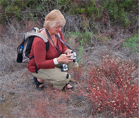 simsearch:862-03711564,k - Galapagos Islands, A visitor to Santiago Island photographs the herbaceous plant Alternanthera spp.. Stock Photo - Rights-Managed, Code: 862-03711546