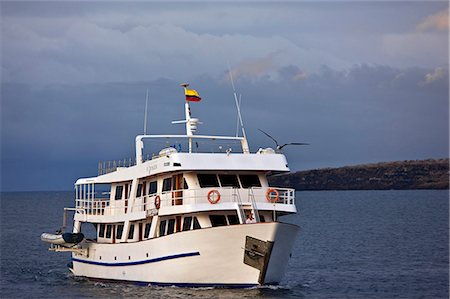 simsearch:862-03711561,k - Galapagos Islands, The motor yacht Galapagos Voyager arrives off Genovese. Foto de stock - Con derechos protegidos, Código: 862-03711562
