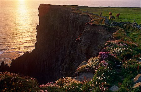 Irland, Co. Clare. Die Cliffs of Moher. Stockbilder - Lizenzpflichtiges, Bildnummer: 862-03712123