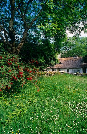 simsearch:862-03888487,k - Irlande, comté de Clare. Cottage au toit de chaume, le Burren. Photographie de stock - Rights-Managed, Code: 862-03712130