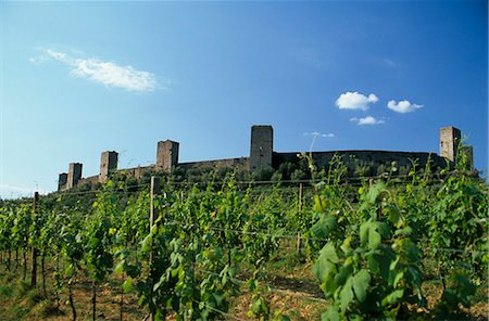 Campagne Toscane avec vignes et amandiers avec enceinte fortifiée perchée au sommet de la colline, près de Sienne Photographie de stock - Rights-Managed, Code: 862-03712203