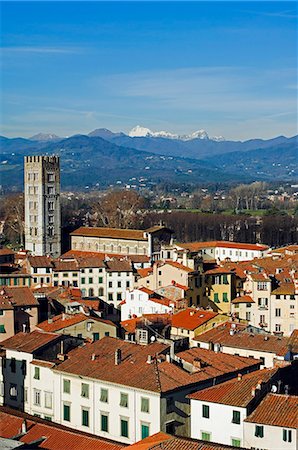 simsearch:862-05997928,k - Italy Tuscany Lucca Torre Ronzini Tower Stock Photo - Rights-Managed, Code: 862-03712300