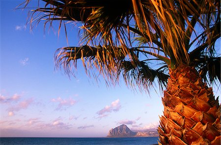 simsearch:862-03711672,k - Italy,Sicily,Bonagia. A palm tree by the swimming pool at the Tonnara di Bonagia Hotel frames Mount Cofano Bay. Foto de stock - Con derechos protegidos, Código: 862-03712367