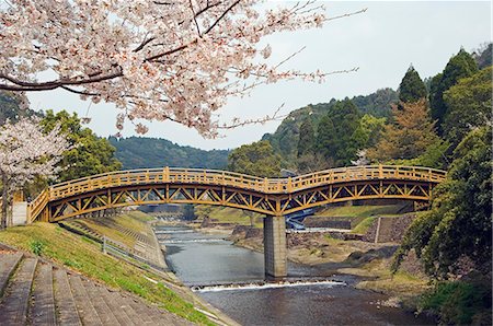 flowers waterfall - Spring cherry blossoms near river wooden arch bridge Stock Photo - Rights-Managed, Code: 862-03712472