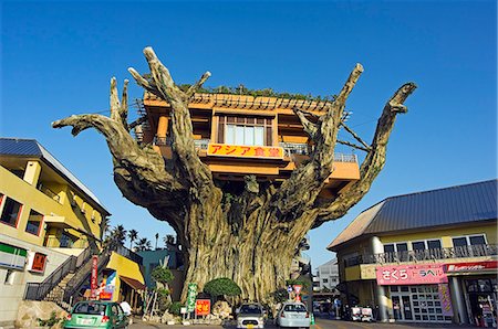 Tree top restaurant on giant tree Stock Photo - Rights-Managed, Code: 862-03712502