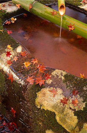 simsearch:400-07036352,k - Insel Honshu, Japan Kyoto. Wasser fließt aus Bambus am Kurama Schrein, Kyoto, Japan. Es gibt 14 Wörter in der japanischen Sprache, die Strömung von Wasser zu beschreiben. Stockbilder - Lizenzpflichtiges, Bildnummer: 862-03712586