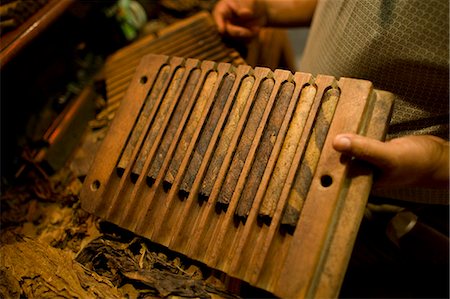 simsearch:862-03712900,k - Playa del Carmen, Mexico. Making cigars at a cigar shop in Play del Carmen mexico Foto de stock - Con derechos protegidos, Código: 862-03712915