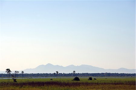 simsearch:862-03713002,k - Malawi, obere Shire-Tal, Liwonde Nationalpark. Die weiten Auen des Shire-Flusses. Stockbilder - Lizenzpflichtiges, Bildnummer: 862-03712988