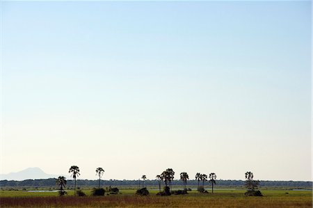 Malawi, haute vallée de Shire, Parc National de Liwonde. La large plaine inondable de la rivière Shire. Photographie de stock - Rights-Managed, Code: 862-03712989