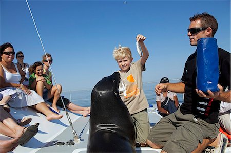 Africa, Namibia, Skeleton Coast, Walvis Bay. On a wildlife cruise a young boy feeds a fish to a Cape Fur Seal. Foto de stock - Con derechos protegidos, Código: 862-03713120