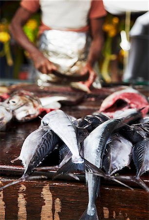 southern province - Man cutting fish at market, Galle, Sri Lanka Stock Photo - Rights-Managed, Code: 862-03713524