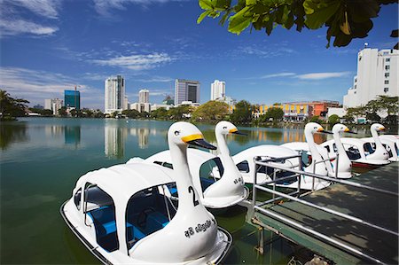 simsearch:862-03713554,k - Asia, South Asia, Sri Lanka, Colombo, Cinnamon Gardens, Swan Shaped Pedaloes On Beira Lake Foto de stock - Direito Controlado, Número: 862-03713564