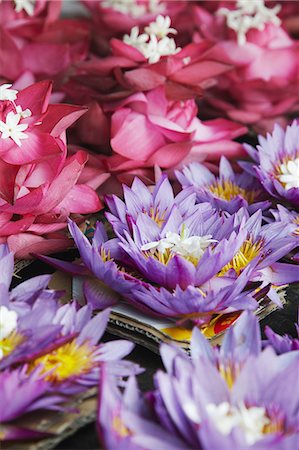 Offrandes de fleurs à vendre au Temple de la dent (Sri Dalada Maligawa), Kandy, Sri Lanka Photographie de stock - Rights-Managed, Code: 862-03713609