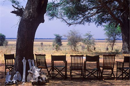 Tanzania, Katavi National Park.  Chairs for guests set out in the shade at Chada Camp. Stock Photo - Rights-Managed, Code: 862-03713916