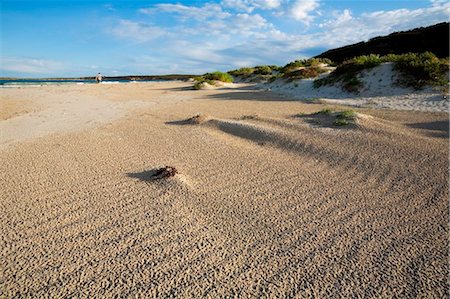 simsearch:862-03736238,k - Australia, South Australia, Kangaroo Island.  Beach at Vivonne Bay Conservation Park on the Kangaroo Island south coast. Foto de stock - Con derechos protegidos, Código: 862-03736240