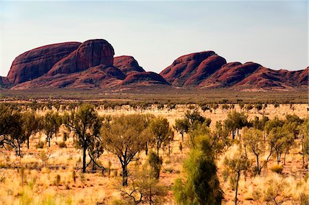 red centre - Australie, Northern Territory, Parc National d'Uluru-Kata Tjuta. Découvre à travers les plaines de spinifex à Kata Tjuta (The Olgas). (PR) Photographie de stock - Rights-Managed, Code: 862-03736281