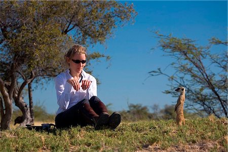 désert de kalahari - Botswana, Makgadikgadi. Un touriste imite un Suricate. Photographie de stock - Rights-Managed, Code: 862-03736345